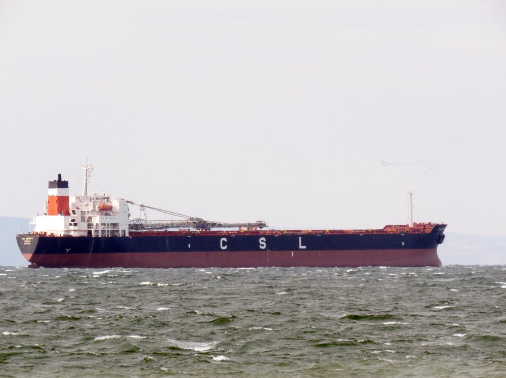 CSL Argosy