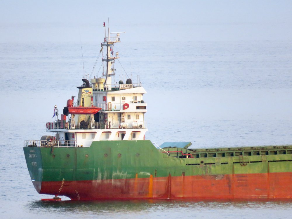 Gao Xin 8