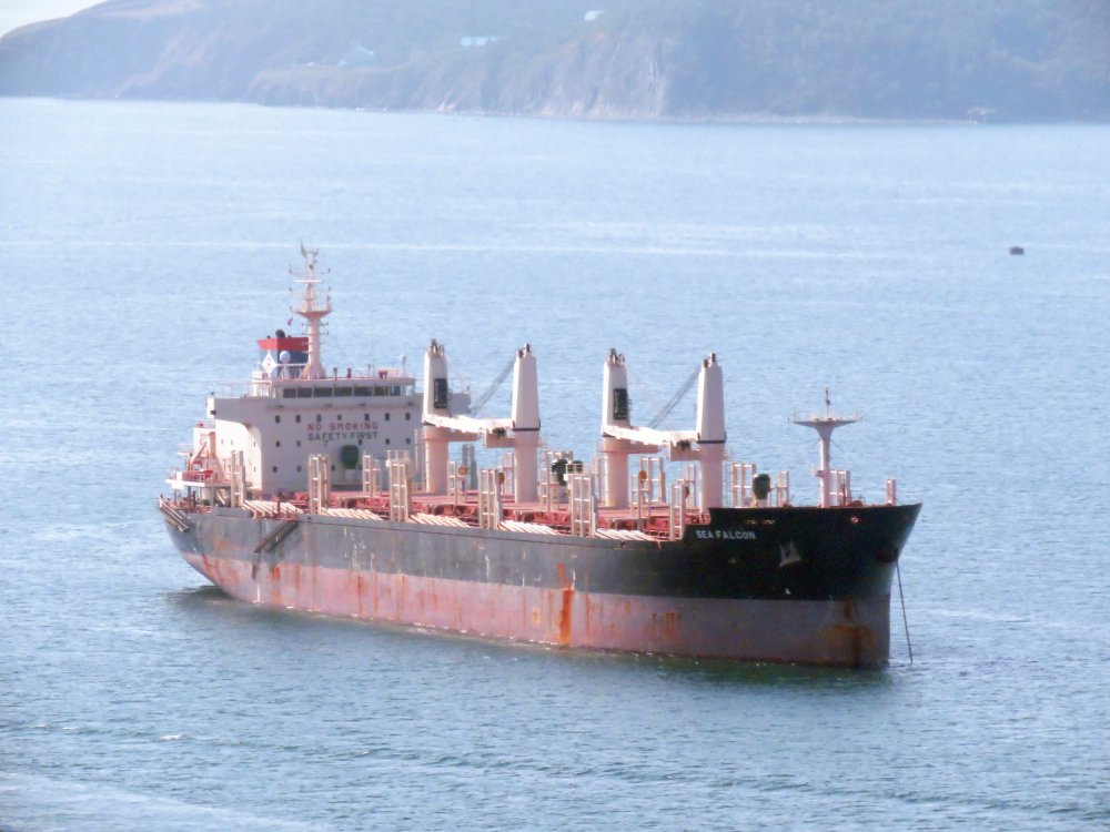Sea Falcon