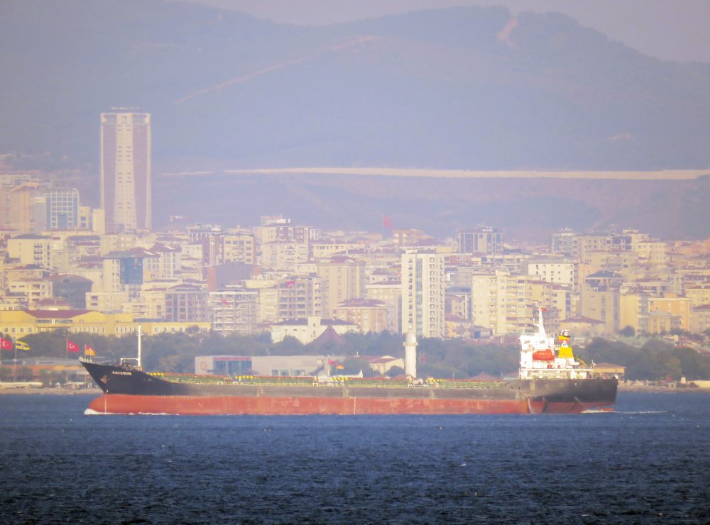 Estesun