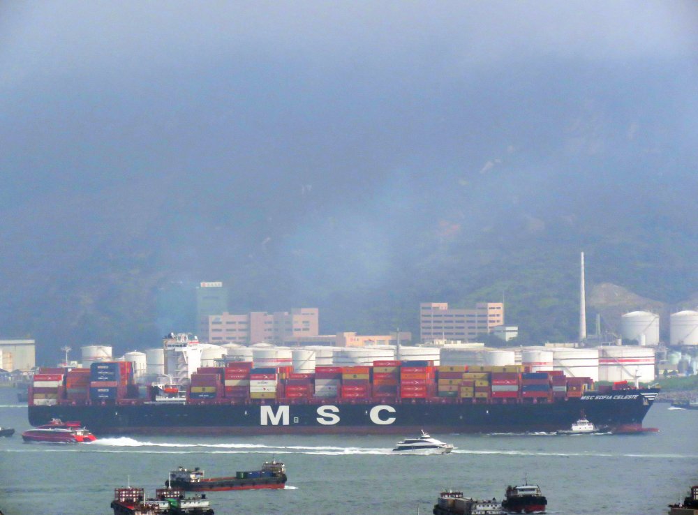MSC Sofia Celeste
