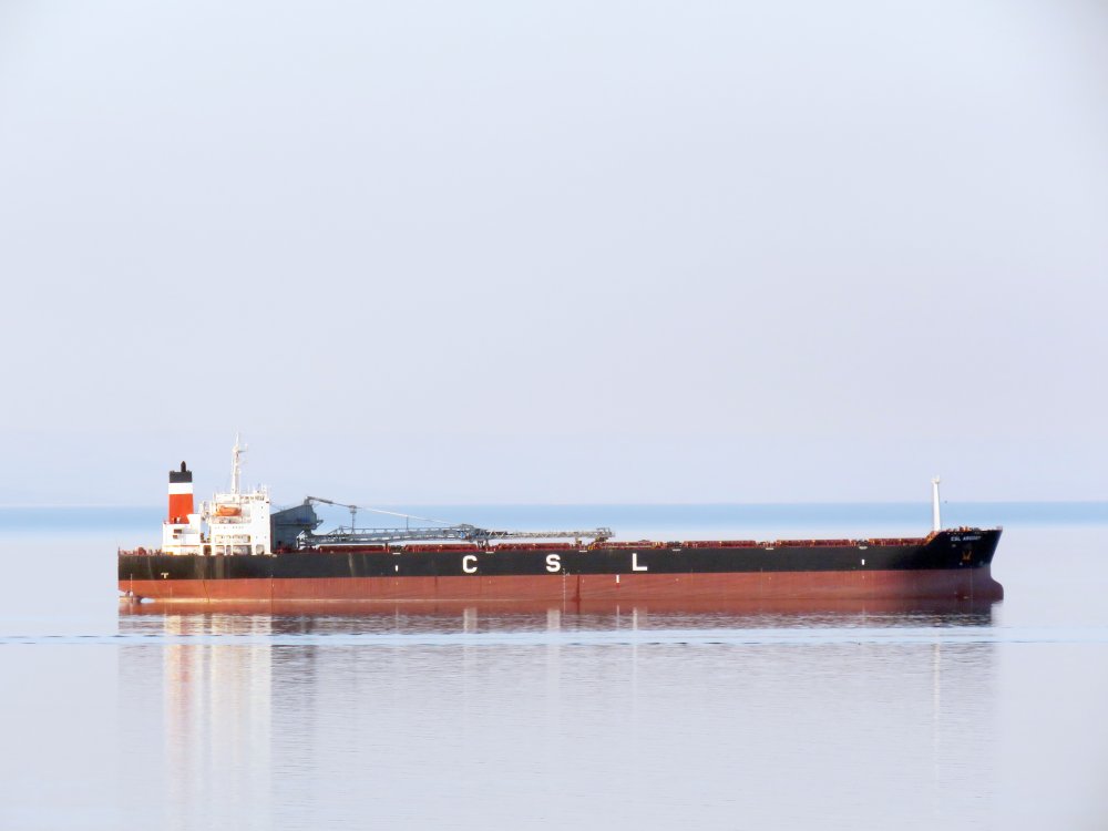 CSL Argosy