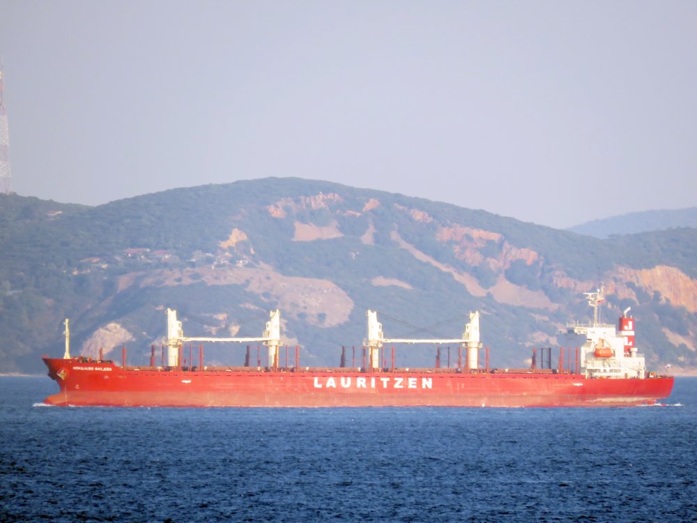 Hokkaido Bulker