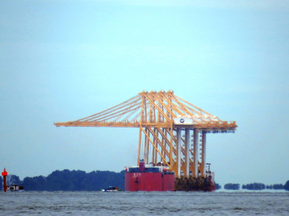 Zhen Hua 28