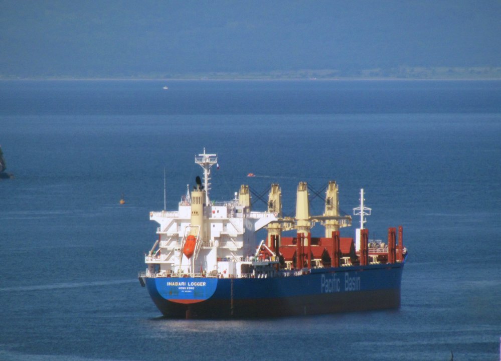 Imabari Logger