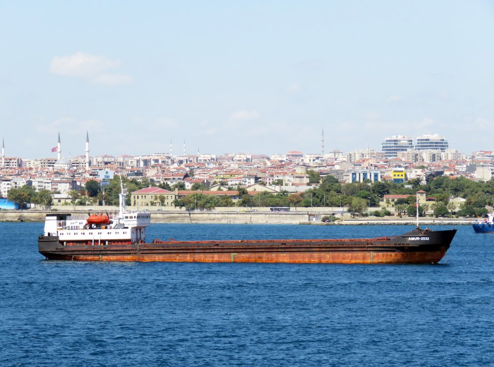 Amur-2532