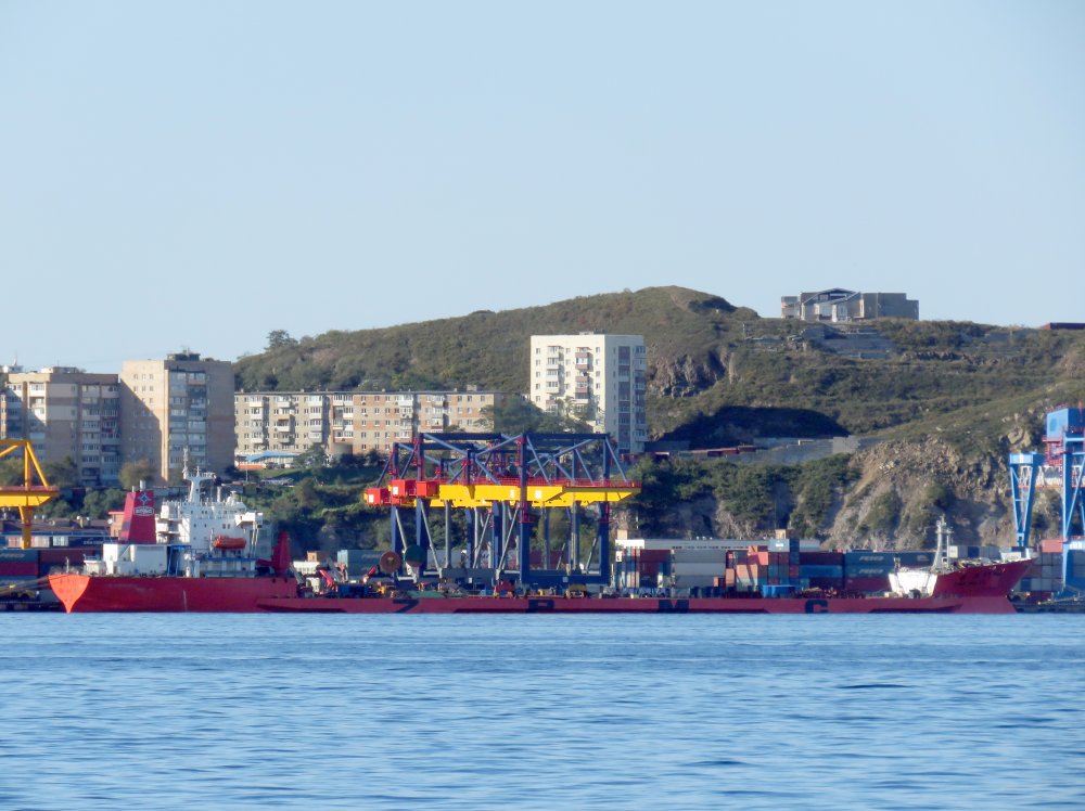 Zhen Hua 17