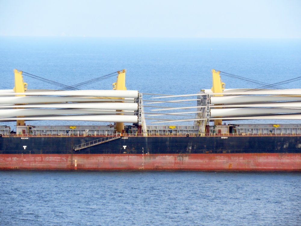 Ocean Bao