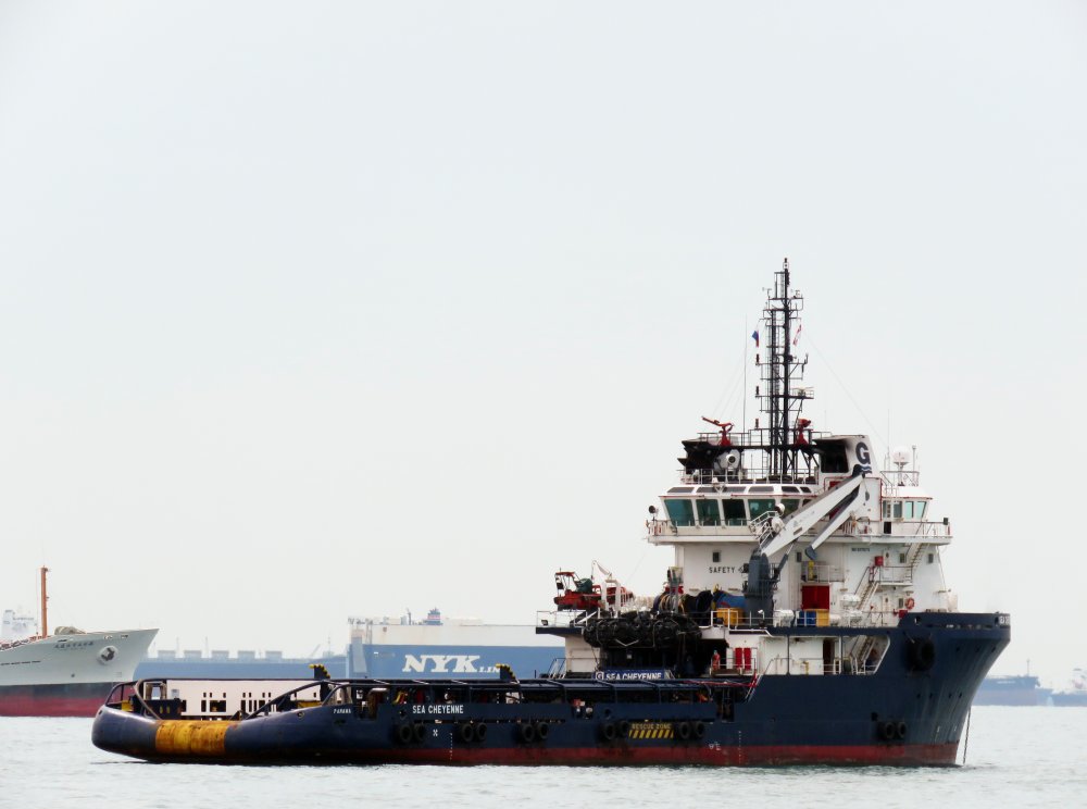Sea Cheyenne