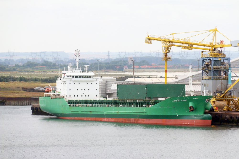 Arklow Muse