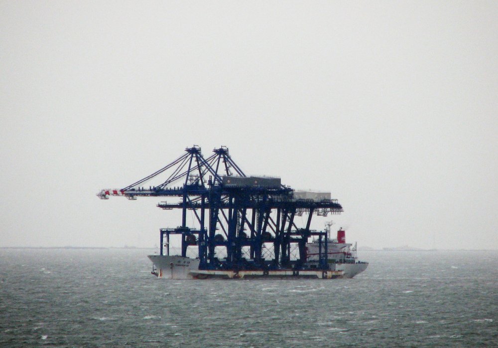 Zhen Hua 18
