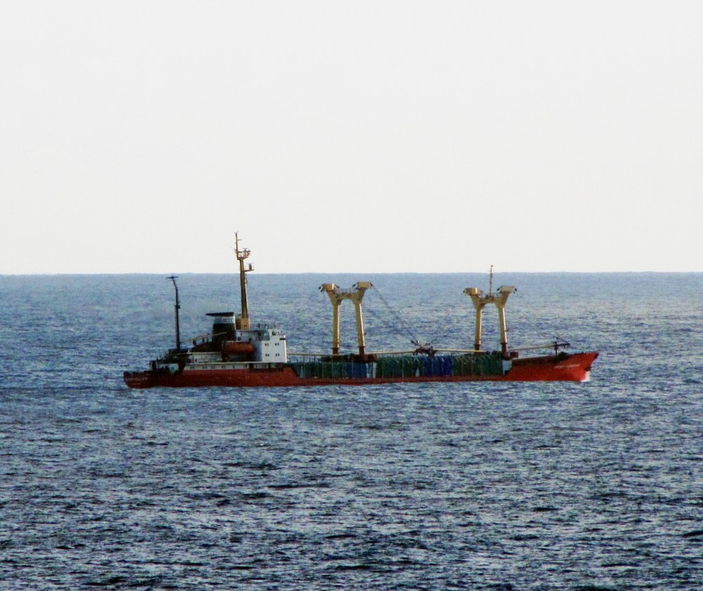 Pioner Moldavii