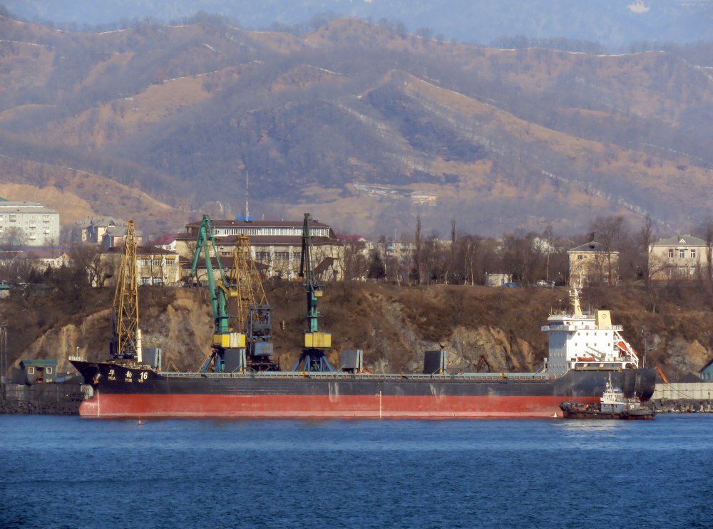 Hua Yun 16