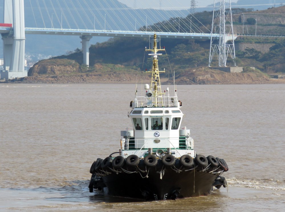 Zhou Gang Tuo 12
