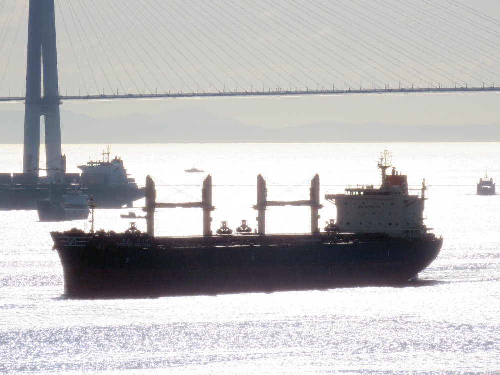 Hanjin Santana