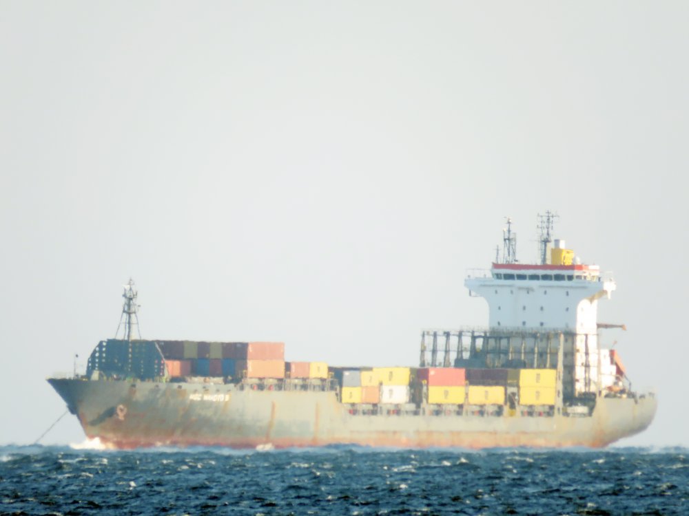 MSC Makoto II