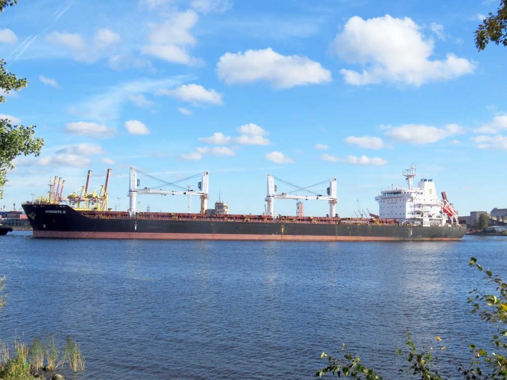 Aphrodite M, IMO 9450832, Call sign V7SN9, Universal bulkers, Photo #7 Aphrodite M