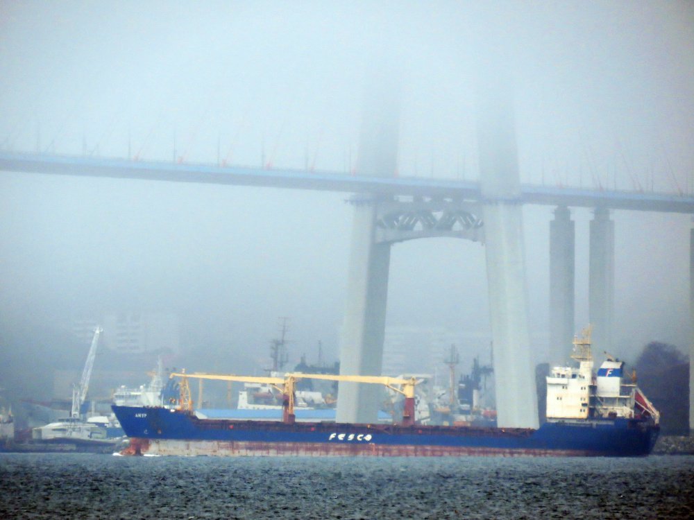 Amur