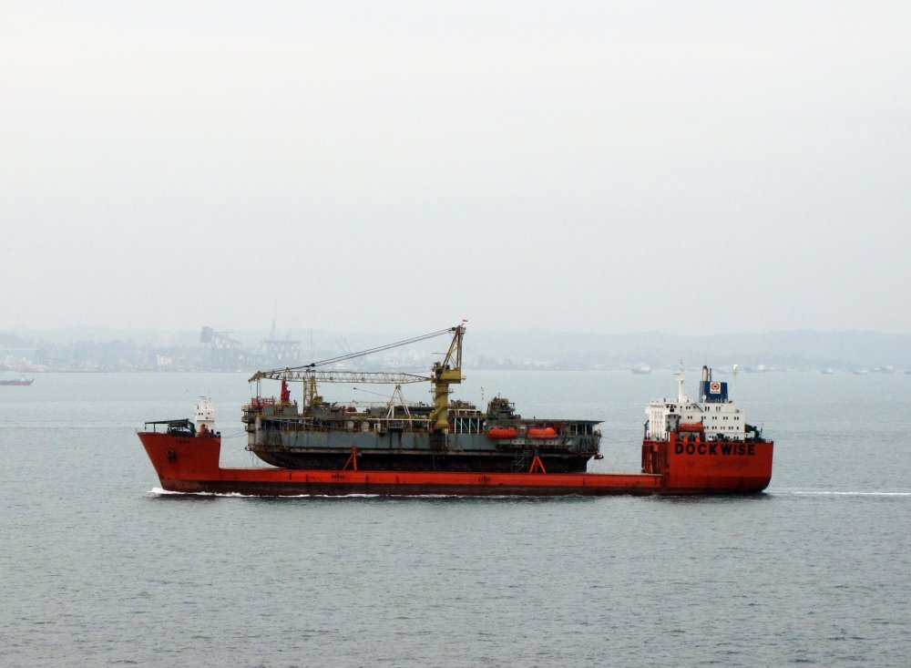 Tern