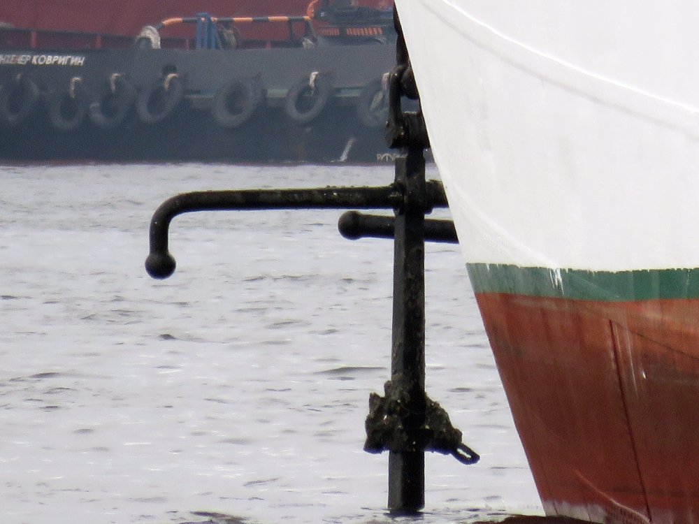 Sedov