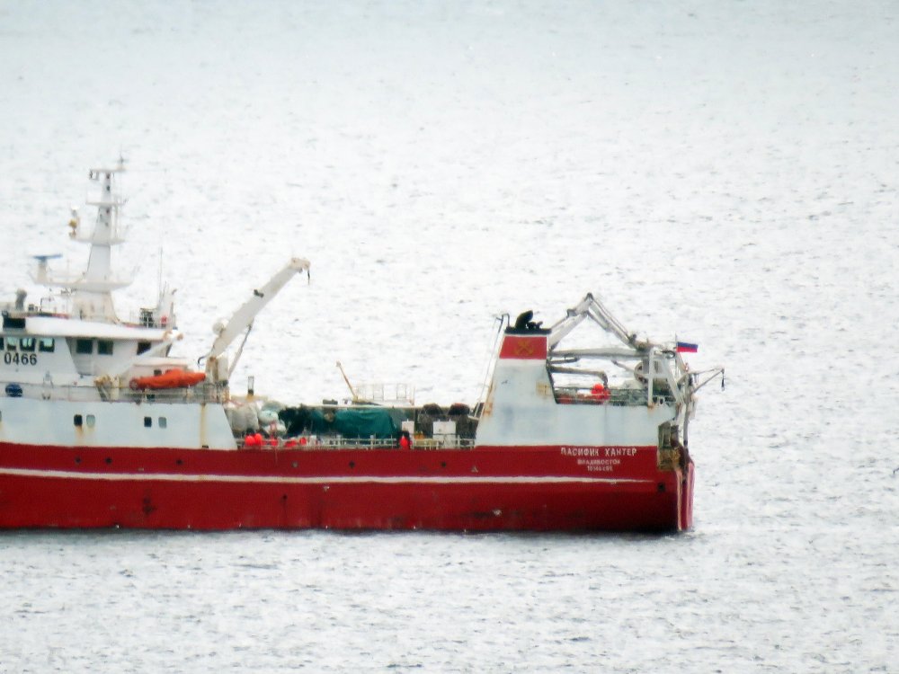 Pacific Hunter