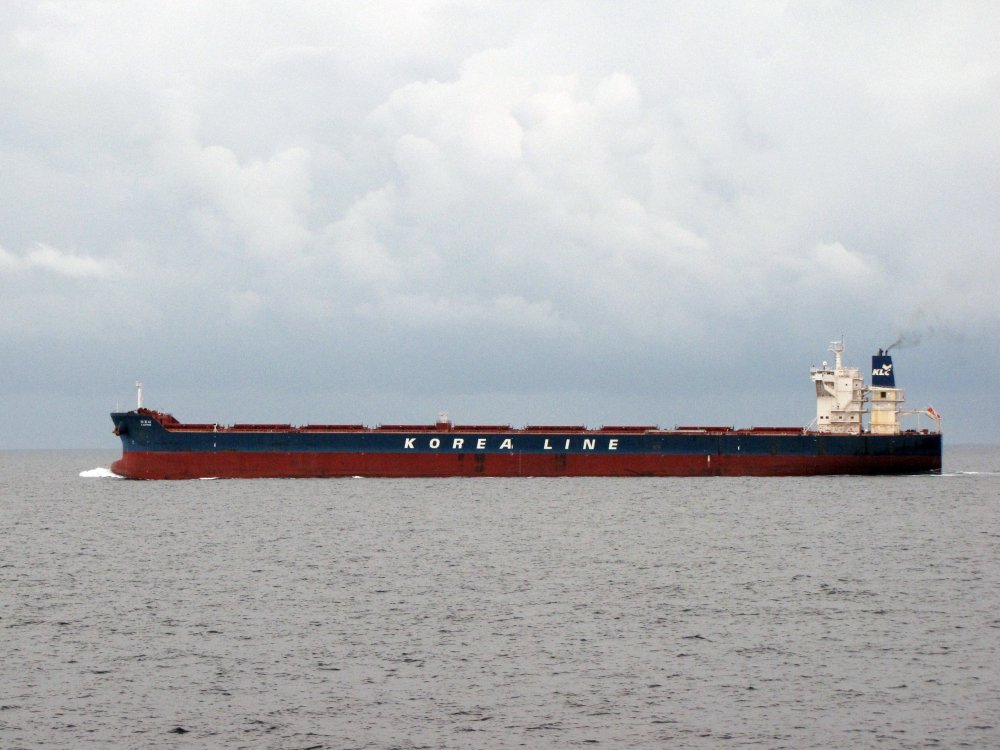 K. Daphne