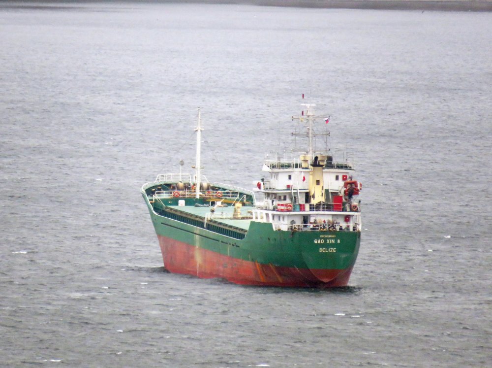Gao Xin 8