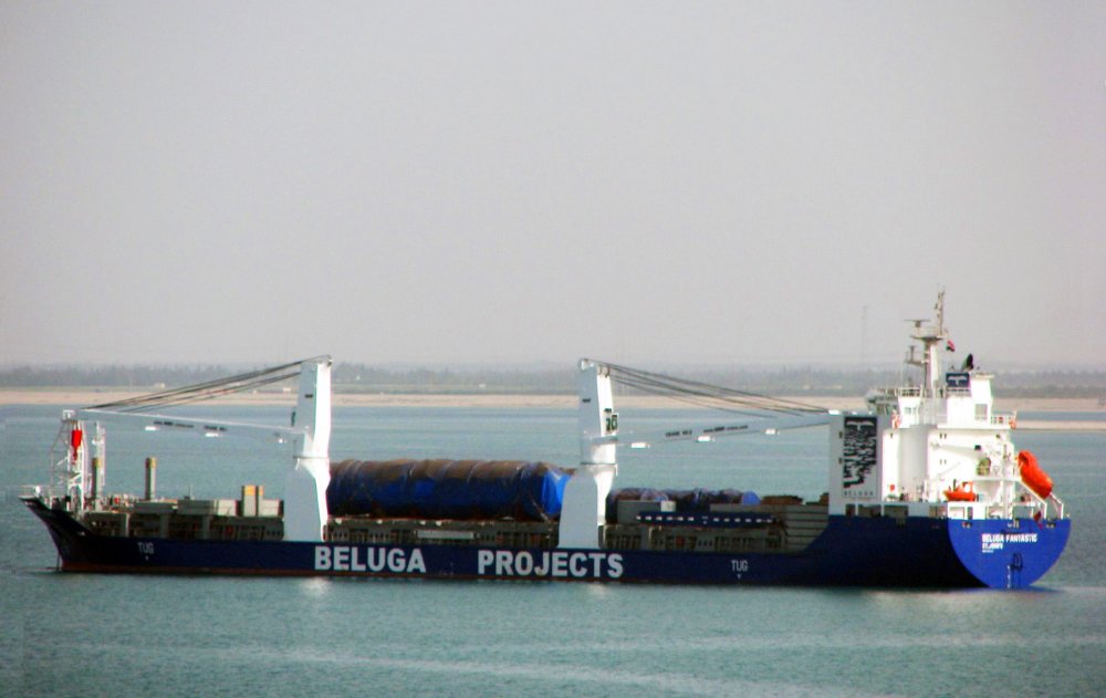 Beluga Fantastic