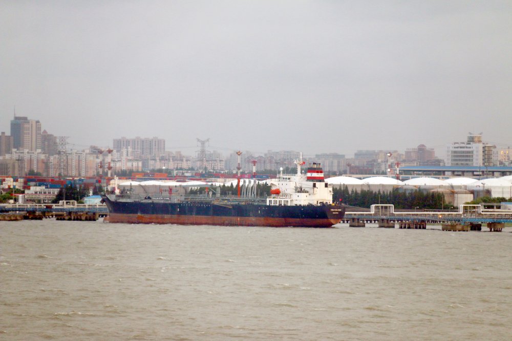 Torm Resilience