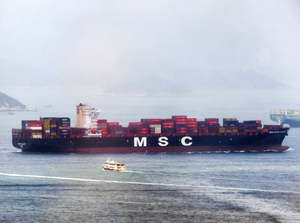 MSC Sofia Celeste