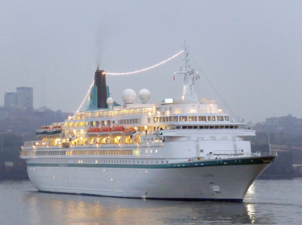 Albatros