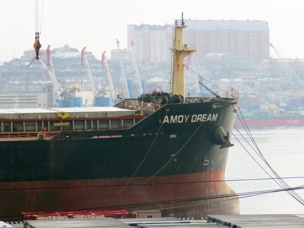 Amoy Dream