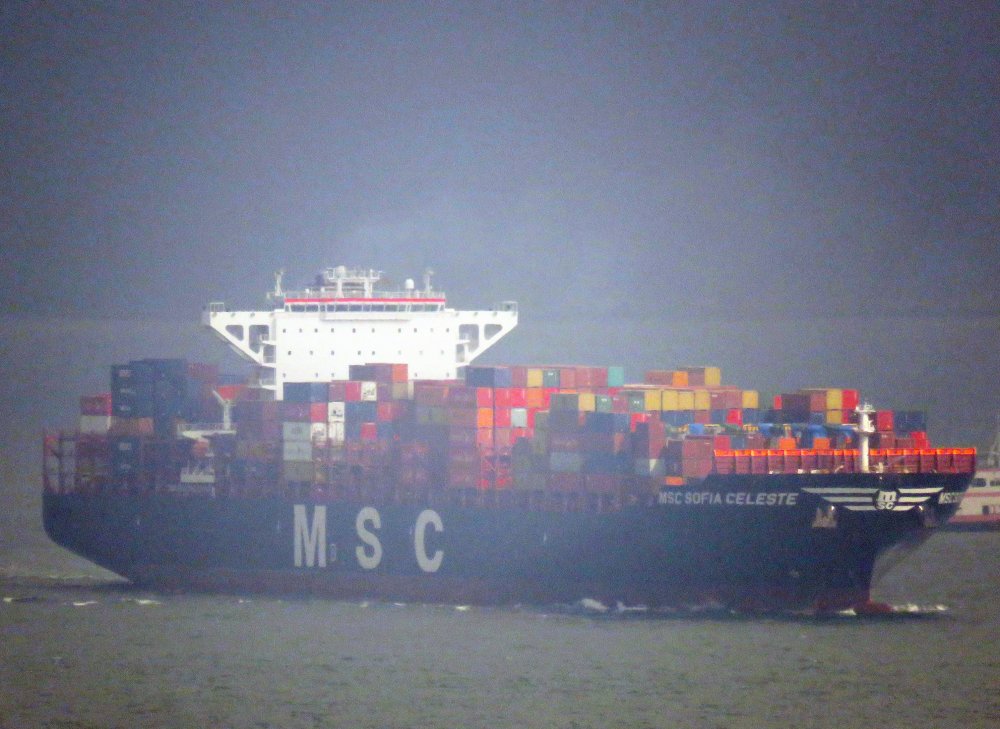 MSC Sofia Celeste