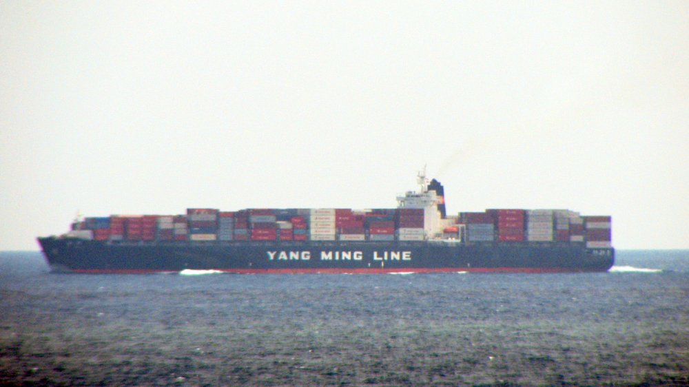 YM Orchid