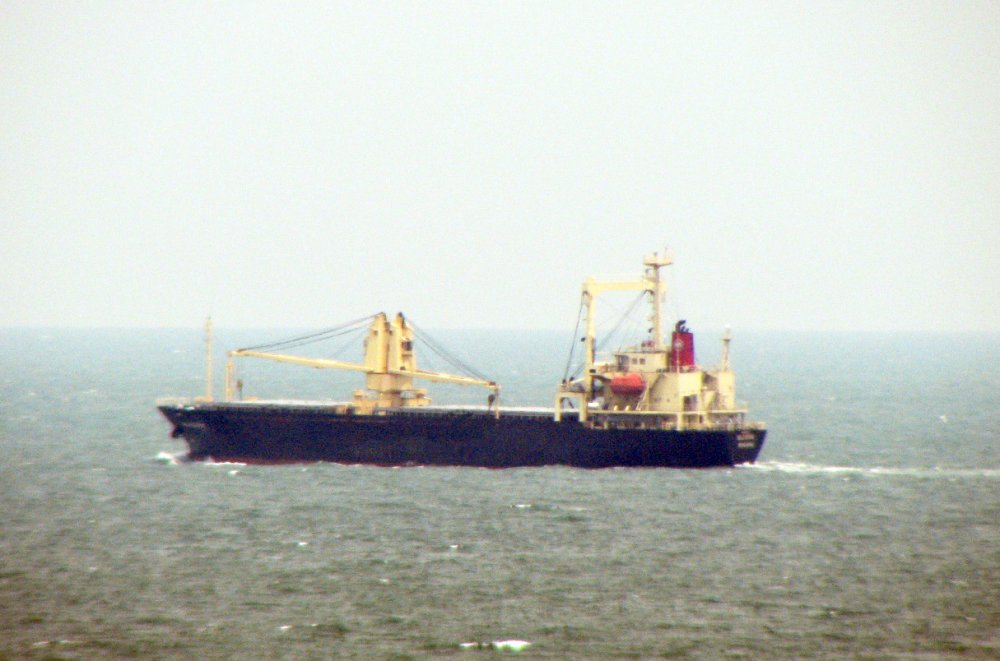 Milestone