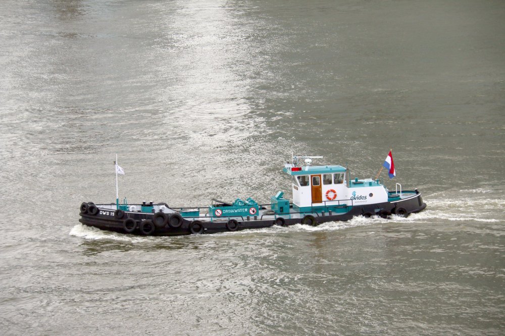 DWS 15