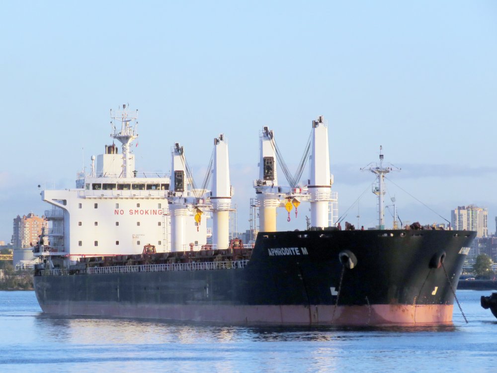 Aphrodite M, IMO 9450832, Call sign V7SN9, Universal bulkers, Photo #12 Aphrodite M