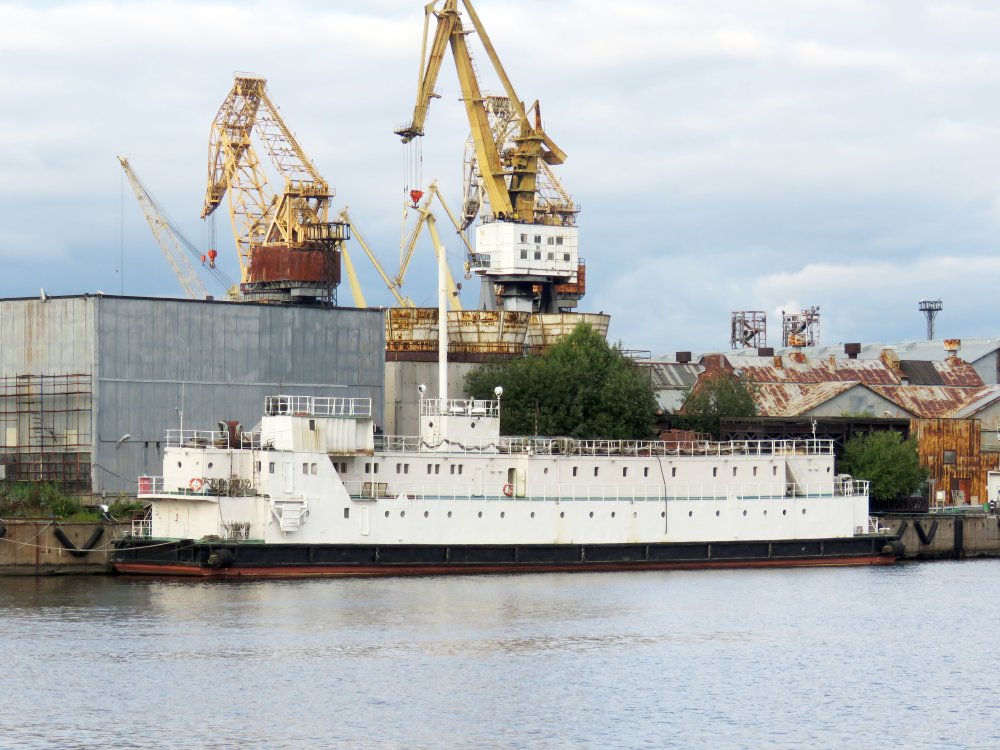 PKDP Neva