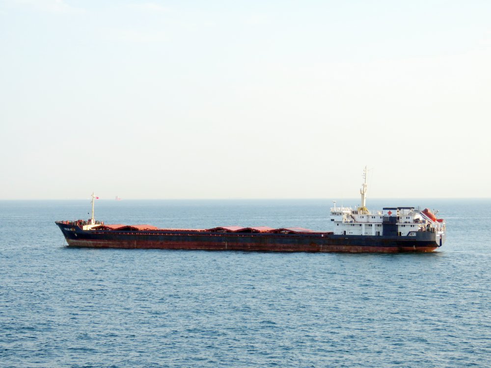 Volga-4006