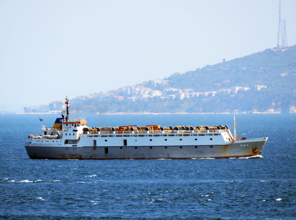 Dalal K