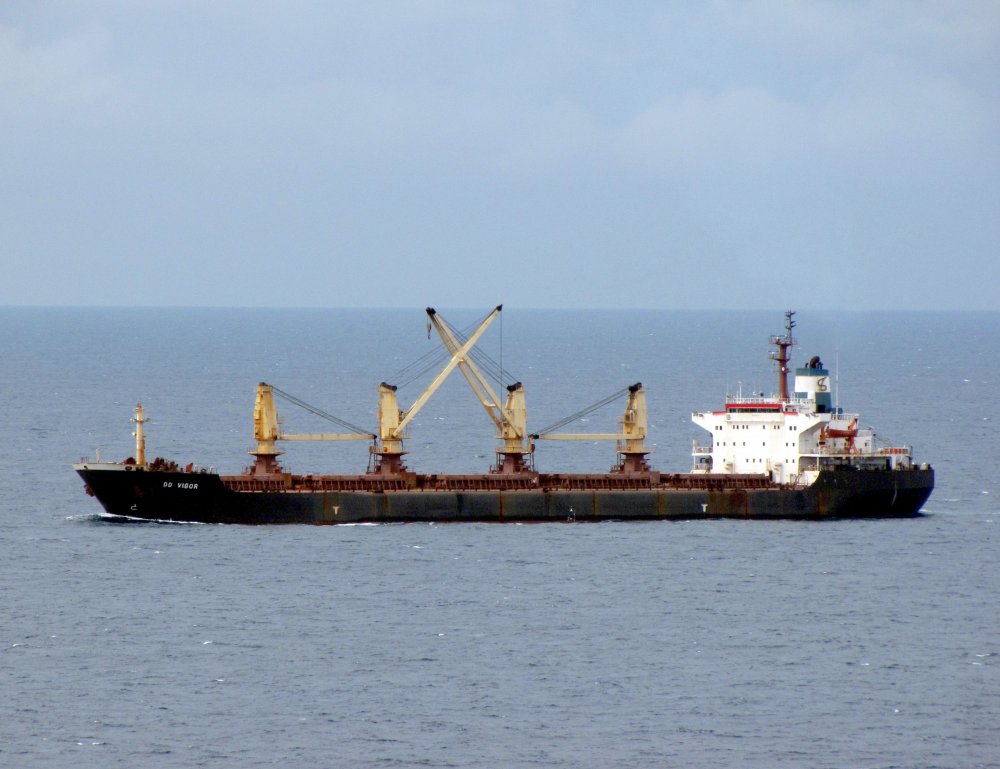 DD Vigor