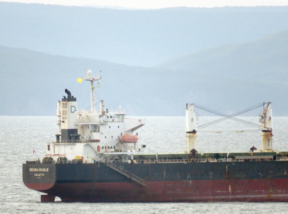 Densa Eagle
