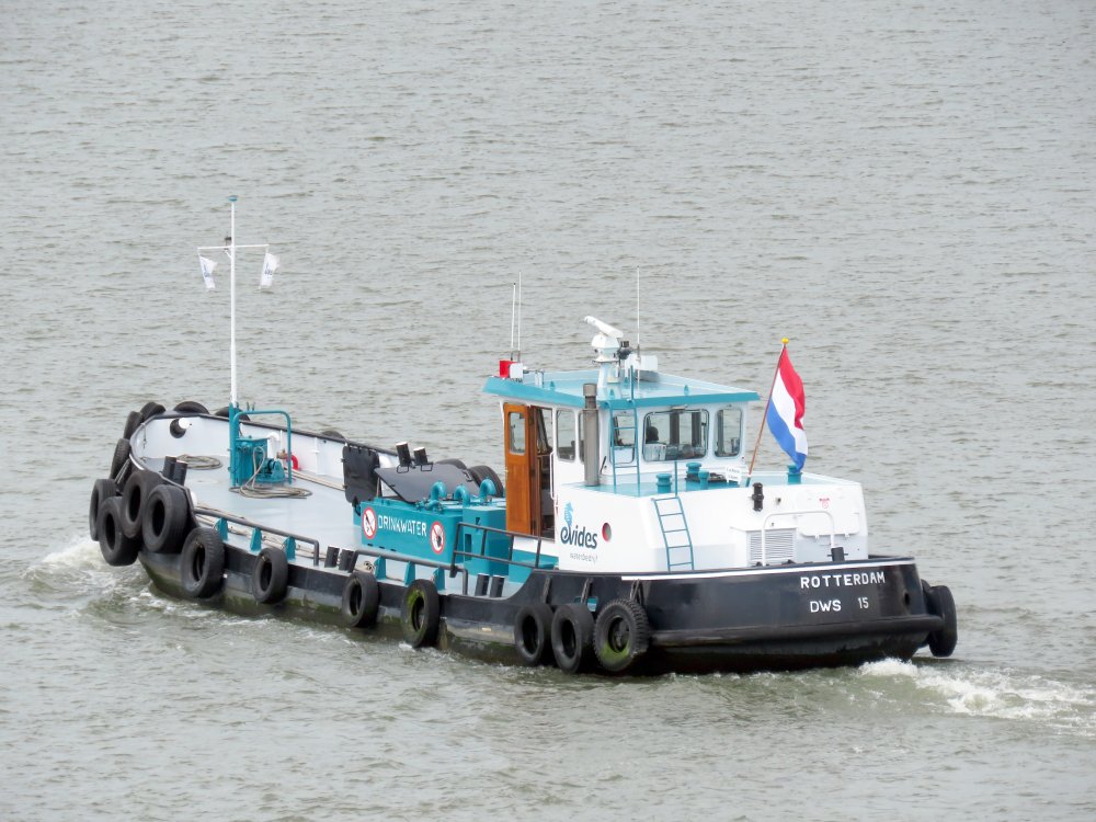 DWS 15