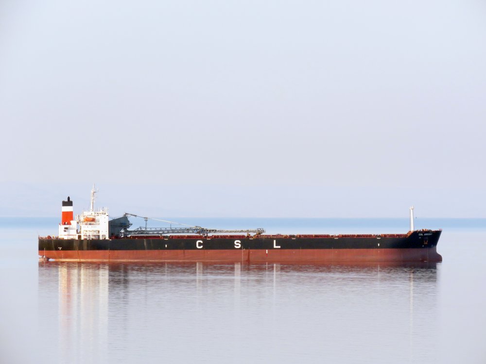 CSL Argosy