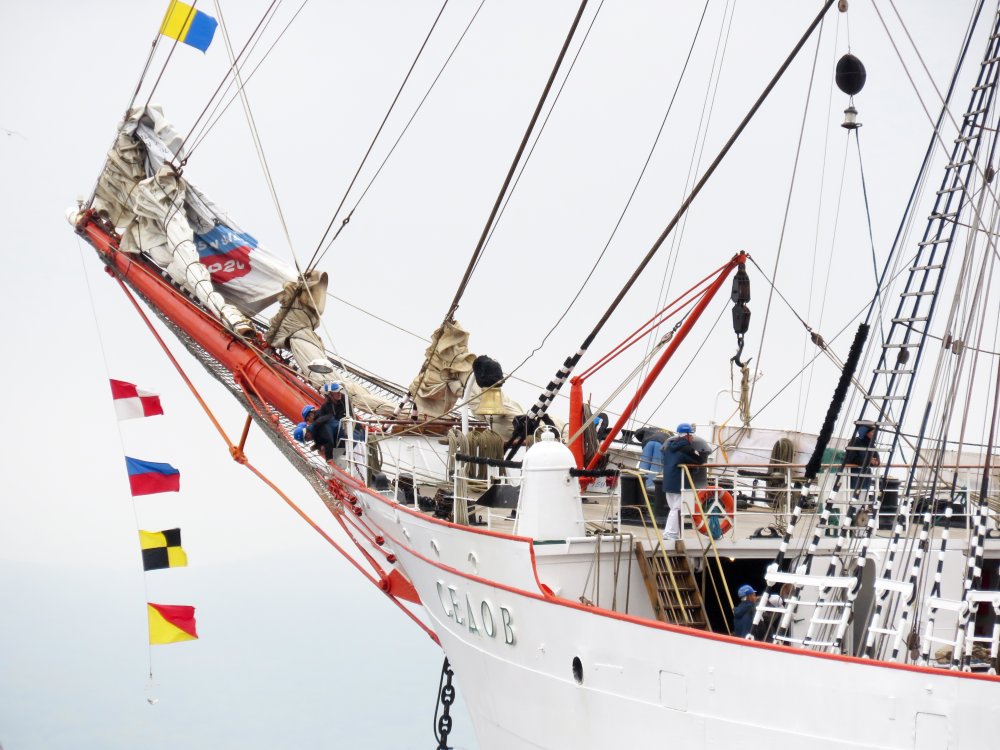 Sedov