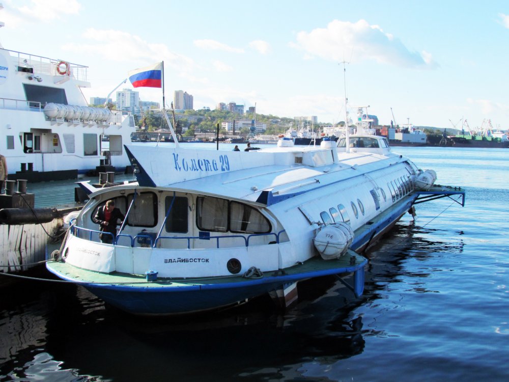 Kometa 29