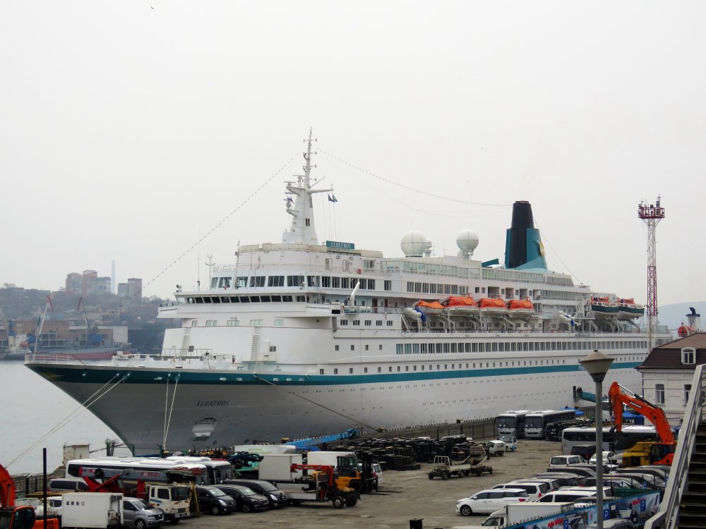 Albatros