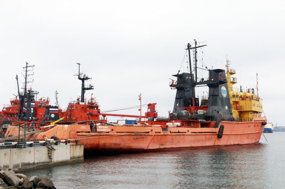 Irbis