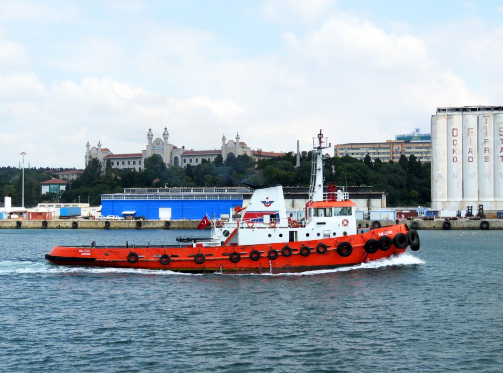 RM 2501, IMO 8107749, Call sign TC6373, Seagoing tugs, Photo #9 RM 2501