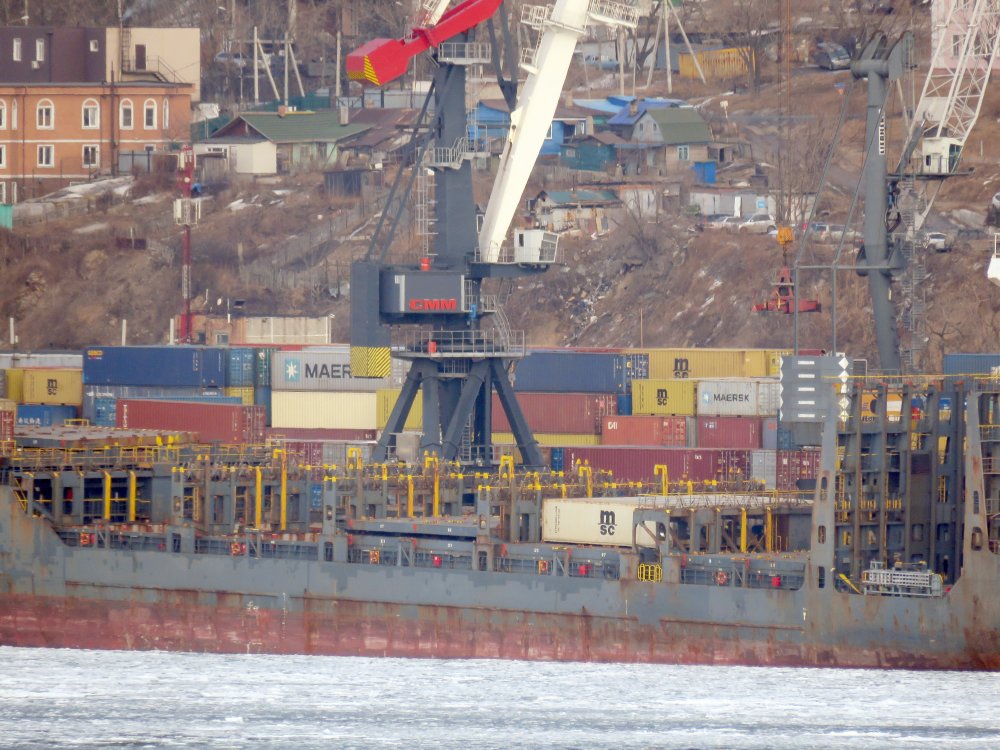 MSC Makoto II